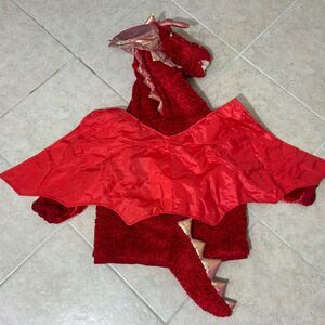 Red Dragon Celebration Halloween Costume Infant Toddler pre loved Hoodie * READ